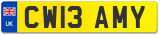 CW13 AMY