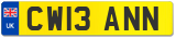 CW13 ANN