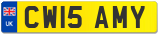 CW15 AMY