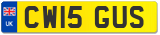 CW15 GUS