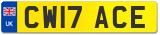 CW17 ACE