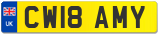 CW18 AMY