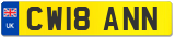 CW18 ANN