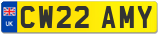 CW22 AMY