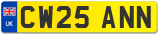 CW25 ANN