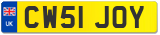 CW51 JOY