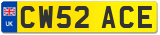 CW52 ACE