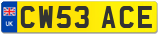 CW53 ACE