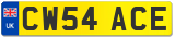 CW54 ACE