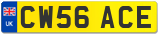 CW56 ACE