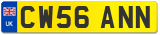 CW56 ANN