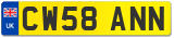 CW58 ANN