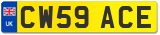 CW59 ACE