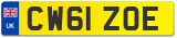 CW61 ZOE