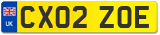 CX02 ZOE