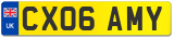 CX06 AMY