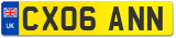 CX06 ANN