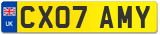 CX07 AMY