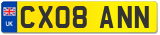 CX08 ANN