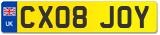 CX08 JOY