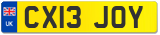 CX13 JOY