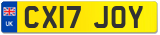 CX17 JOY