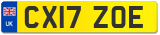 CX17 ZOE