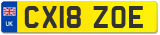 CX18 ZOE