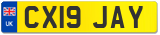 CX19 JAY