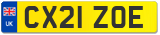 CX21 ZOE