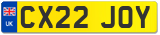 CX22 JOY