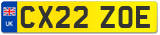 CX22 ZOE