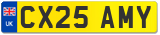 CX25 AMY