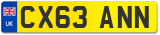 CX63 ANN
