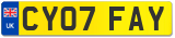 CY07 FAY