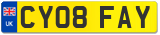 CY08 FAY