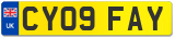 CY09 FAY