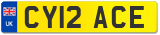 CY12 ACE