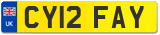 CY12 FAY