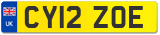 CY12 ZOE