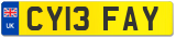 CY13 FAY