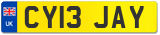 CY13 JAY