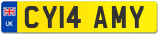 CY14 AMY