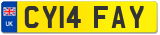 CY14 FAY