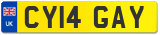 CY14 GAY