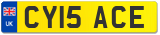 CY15 ACE