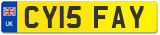 CY15 FAY