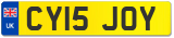 CY15 JOY