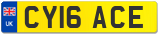 CY16 ACE