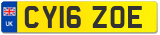 CY16 ZOE